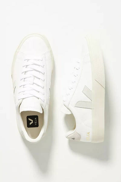 Shop Veja Campo Leather Sneakers In Grey