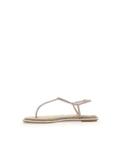 Shop René Caovilla Sandals In Nude