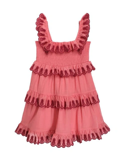 Shop Zimmermann Dress With Flounces In Coral