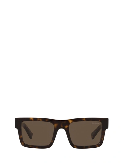 Shop Prada Pr 19ws Tortoise Sunglasses