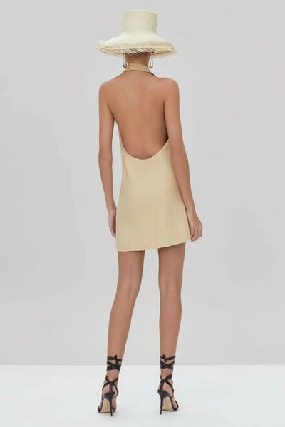 Shop Alexis Jenell Mini Dress