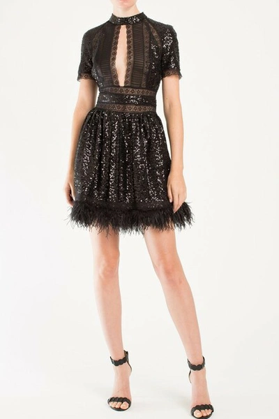 Shop Zuhair Murad Sequins Lace And Feathered Mini Dress