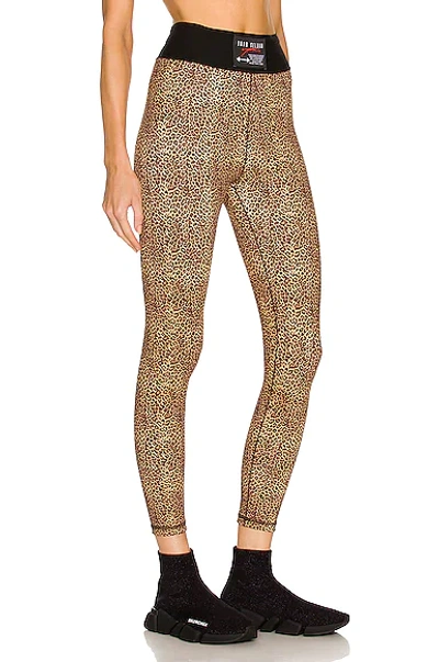 Shop Adam Selman Sport Hi-rise Foundation Legging In Micro Leopard