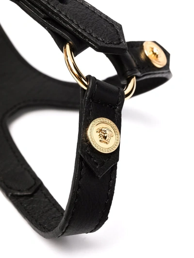 Shop Versace Medusa-stud Pet Harness In Black