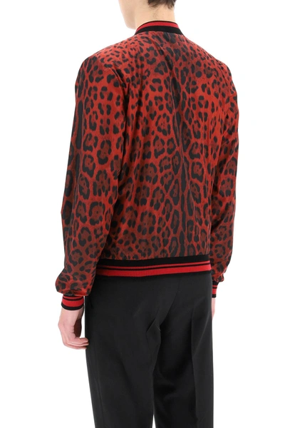 Shop Dolce & Gabbana Hot Animalier Bomber Jacket In Red,black