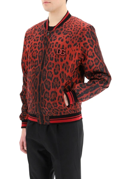Shop Dolce & Gabbana Hot Animalier Bomber Jacket In Mixed Colours