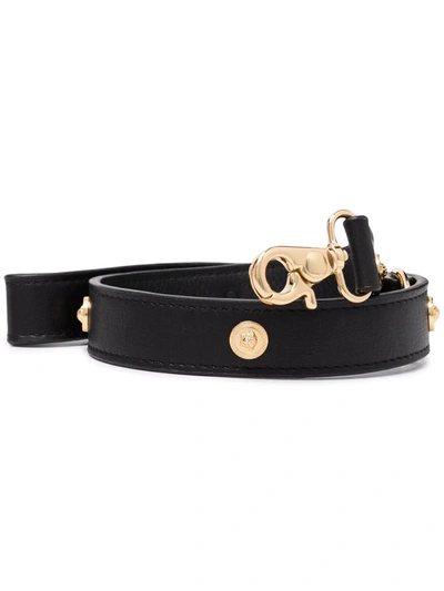 Shop Versace Large Icon Pet Leash In Schwarz