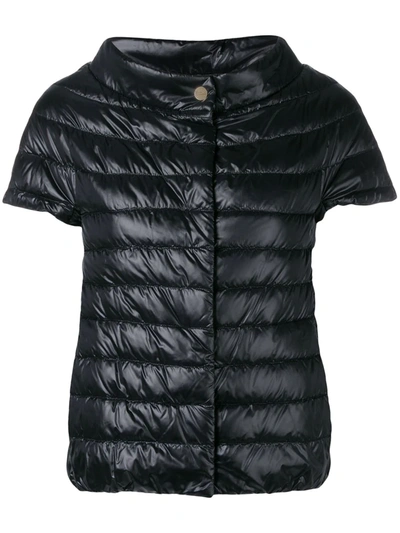 Shop Herno Greta Padded Short-sleeved Jacket In Black