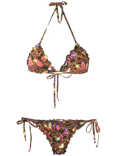 Shop Amir Slama Papagaios Printed Bikini Set In Black