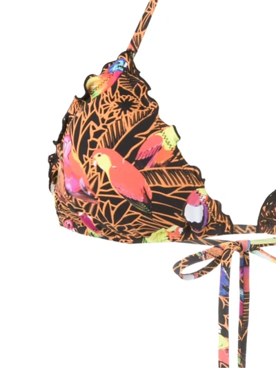 Amir Slama Papagaios Printed Bikini Set In Black