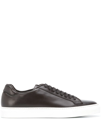 Shop Scarosso Low Top Ugo Sneakers In Brown