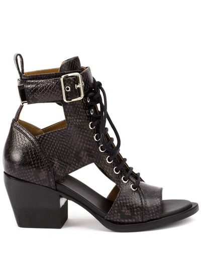 Shop Chloé Cutout Ankle Boots In Black