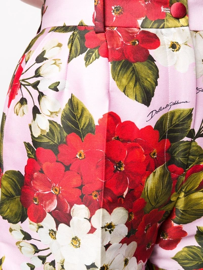 Shop Dolce & Gabbana Floral-print Shorts In Pink