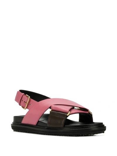 Shop Marni Fussbett Cross-over Sandals In Pink