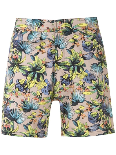 Shop Amir Slama Printed Swimming Shorts In Neutrals