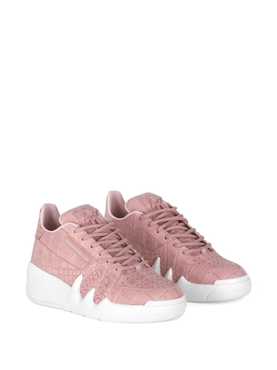 Giuseppe Zanotti Crocodile Effect Sneakers In Pink