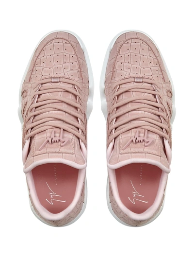 Shop Giuseppe Zanotti Crocodile Effect Sneakers In Pink