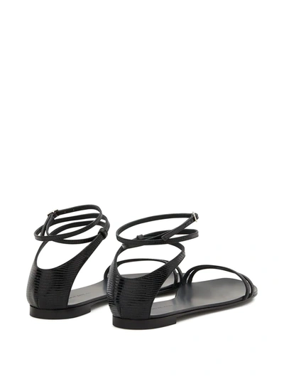 Shop Giuseppe Zanotti Catia Flat Sandals In Black