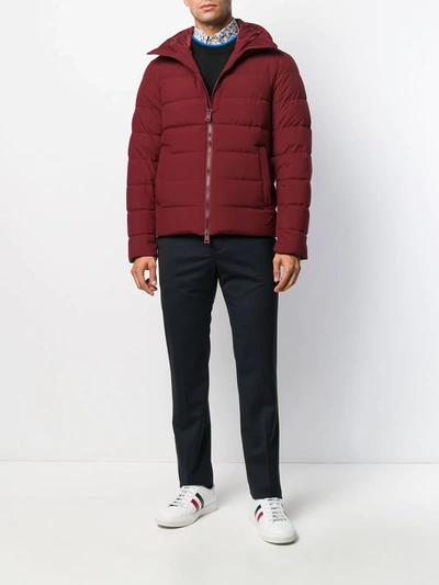 Shop Herno Quilted Zip-up Padded Jacket In Red