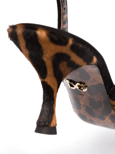 Shop Dolce & Gabbana Leopard Print Slingback Pumps In Brown