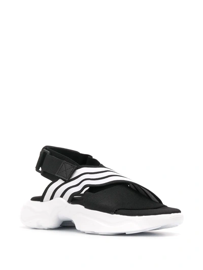 Shop Adidas Originals Magmur Sandals In Black