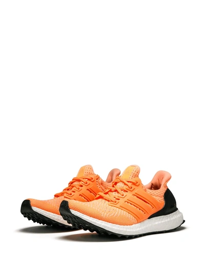 Shop Adidas Originals Ultraboost Low-top Sneakers In Orange