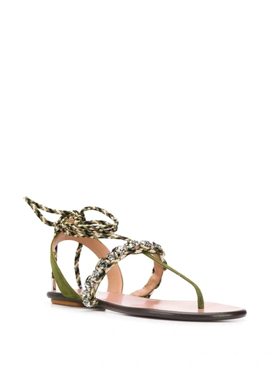 Shop Aquazzura Surf Wrap-around Flat Sandals In Green