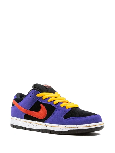 Nike Sb Dunk Low Sneakers In Purple