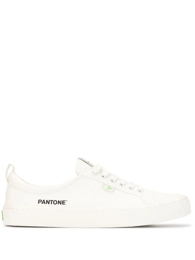 Shop Cariuma X Pantone Oca Canvas Low-top Sneakers In White