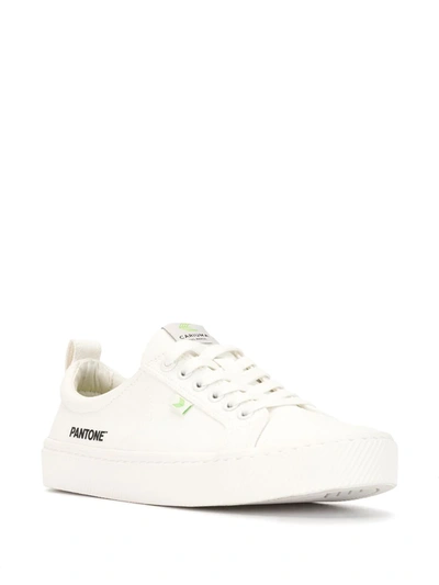 Shop Cariuma X Pantone Oca Canvas Low-top Sneakers In White