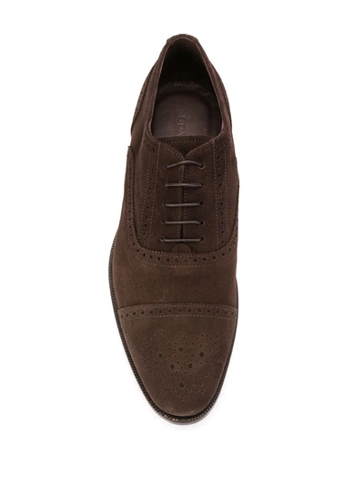 Shop Scarosso Roberto Oxford-style Brogues In Brown