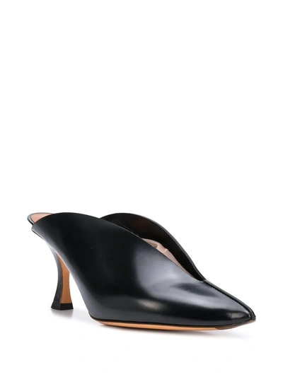 Shop Y/project Pointed Mules In Black