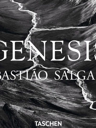 Shop Taschen Sebastião Salgado. Genesis Book In Multicolour