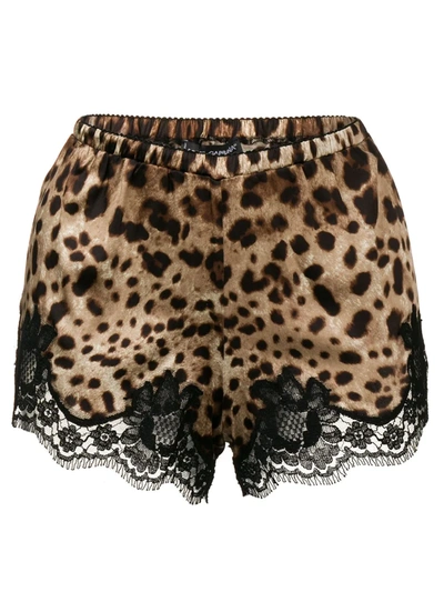 Dolce & Gabbana Leopard-print Stretch Silk Shorts In Brown