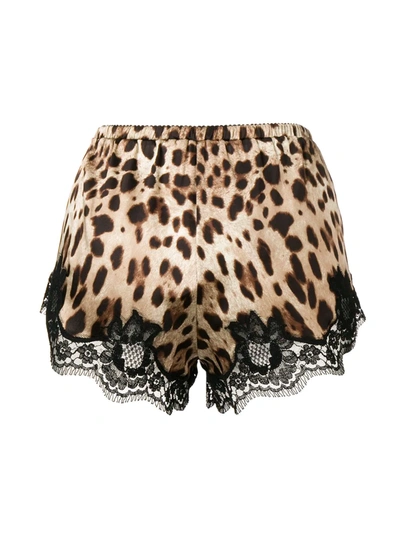Dolce & Gabbana Leopard-print Stretch Silk Shorts In Brown