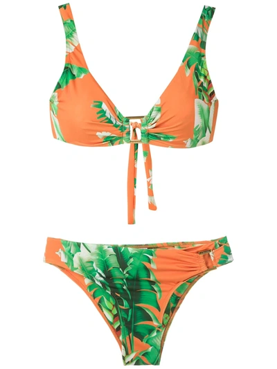 Shop Amir Slama Floral Print Bikini Set In Green