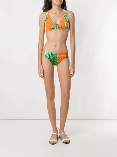 Amir Slama Floral Print Bikini Set In Green