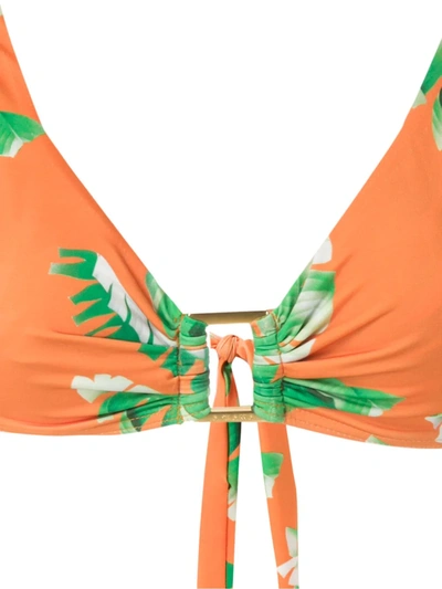 Amir Slama Floral Print Bikini Set In Green