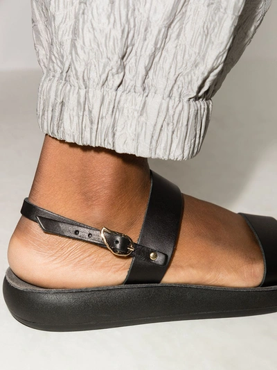 Shop Ancient Greek Sandals Clio Comfort Flat Sandals In Black