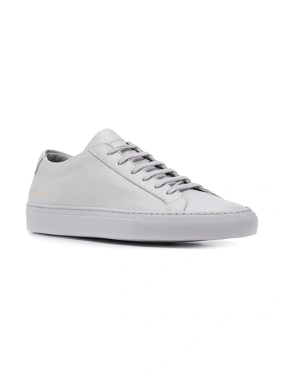 Shop Common Projects Achilles Low Sneakers In Grey