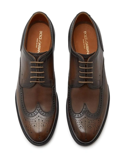 Shop Dolce & Gabbana Brogue Detail Derby Shoes In Brown