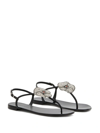 Shop Giuseppe Zanotti Hollie Flower Sandals In Black