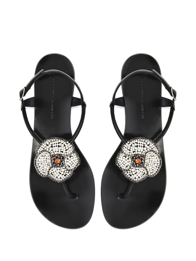 Shop Giuseppe Zanotti Hollie Flower Sandals In Black