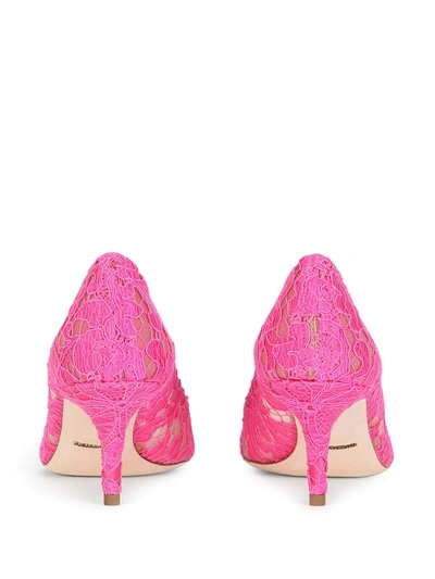 Shop Dolce & Gabbana Embellished Lace Pumps In Pink