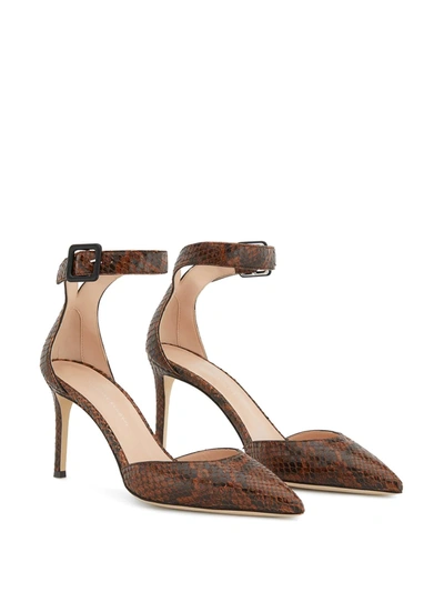 Shop Giuseppe Zanotti Loreen Snake-effect Pumps In Brown