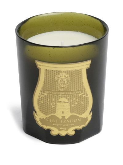 Cire Trudon Trudon Ernesto Leather And Tobacco Candle In Green