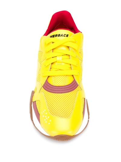 Shop Versace Squalo Sneakers In Yellow