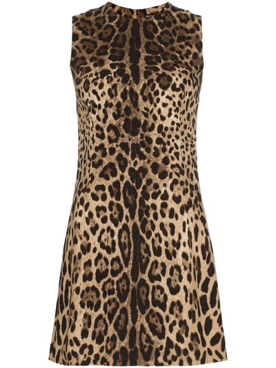 Shop Dolce & Gabbana Leopard-print A-line Minidress In Brown