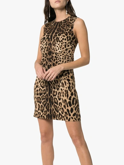 Shop Dolce & Gabbana Leopard-print A-line Minidress In Brown