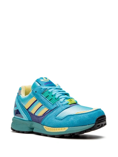 Adidas Originals Zx 8000 Sneakers In Blue